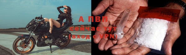 ALPHA PVP Алзамай