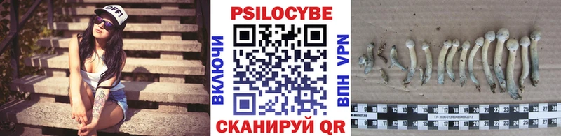Галлюциногенные грибы GOLDEN TEACHER  Алексеевка 