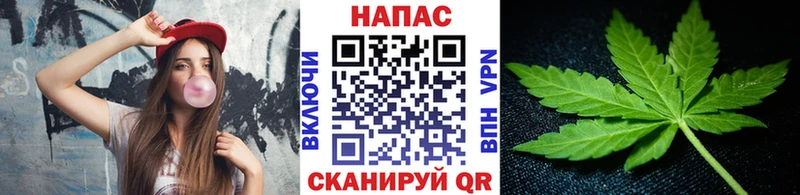 Бошки марихуана THC 21% как найти наркотики Алексеевка